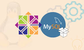 2021 CentOS 6.8 安装 MySQL 5.6