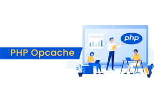 PHP Opcache accelerates access