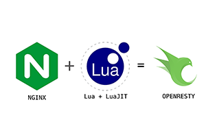 Openresty Nginx 实现 lua 连接 reids 和 mysql